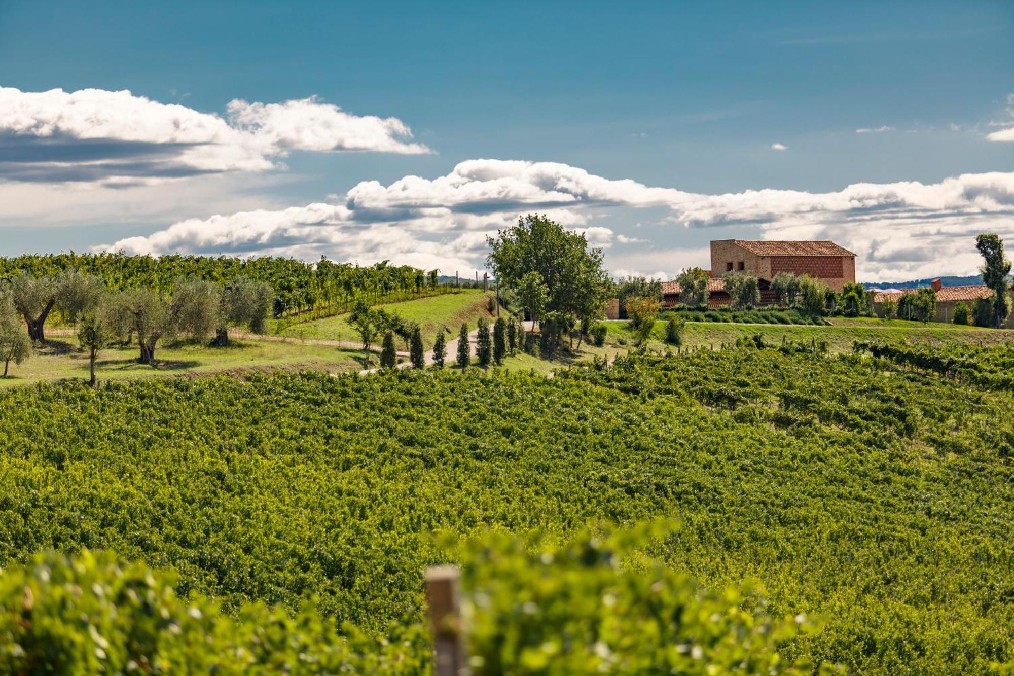 Tenuta Di Montecucco - Collemassari Hospitality Cinigiano Exterior foto